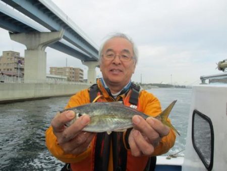 あい川丸 釣果