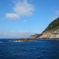 しば渡船 釣果