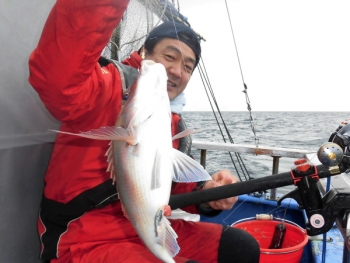 鯛紅丸 釣果