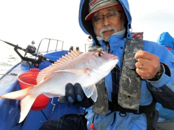 鯛紅丸 釣果