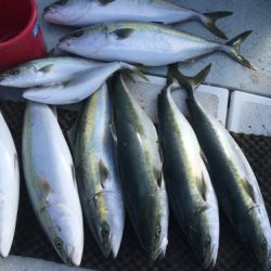 釣船 浦島太郎 釣果