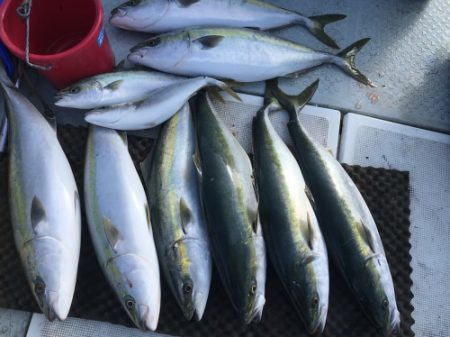 釣船 浦島太郎 釣果