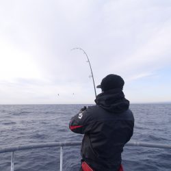 松鶴丸 釣果