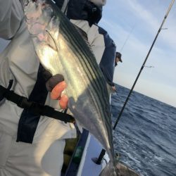 新幸丸 釣果