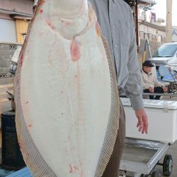 明神釣船 釣果