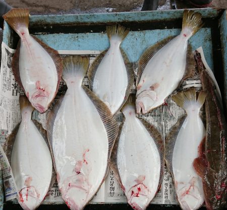 明神釣船 釣果