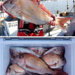 来温丸（らいおんまる） 釣果