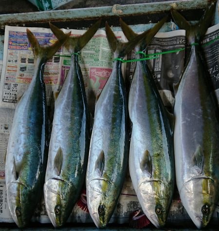 明神釣船 釣果