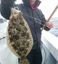 海龍丸（福岡） 釣果