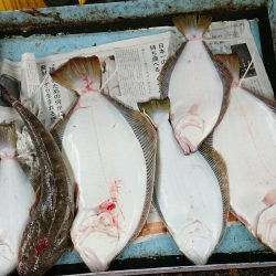 明神釣船 釣果