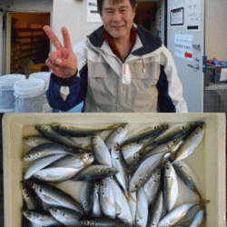 荒川屋 釣果