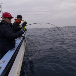 松鶴丸 釣果