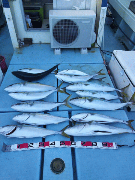 清和丸 釣果