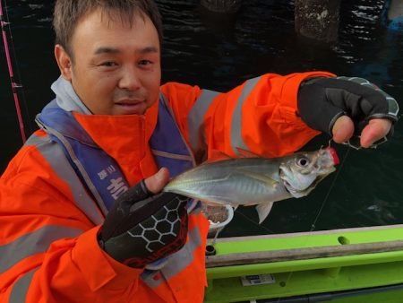 深川　吉野屋 釣果