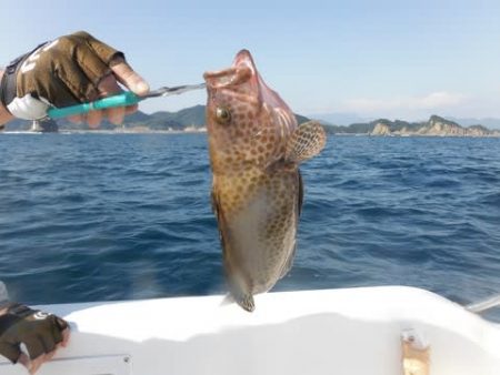 開進丸 釣果