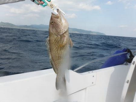 開進丸 釣果