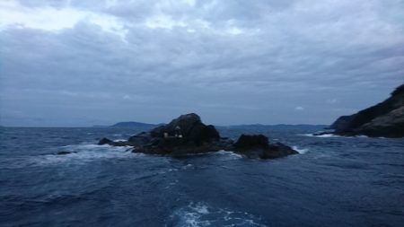 しば渡船 釣果