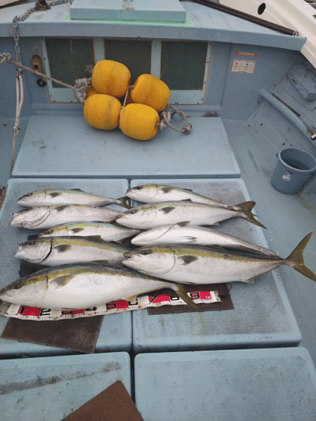 清和丸 釣果