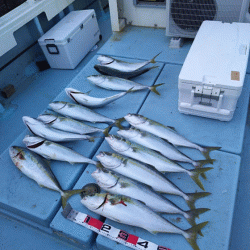 清和丸 釣果