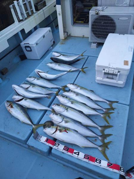 清和丸 釣果