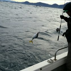 つれ鷹丸 釣果