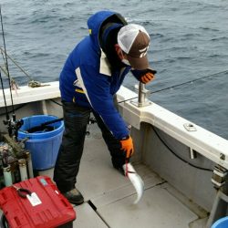 つれ鷹丸 釣果