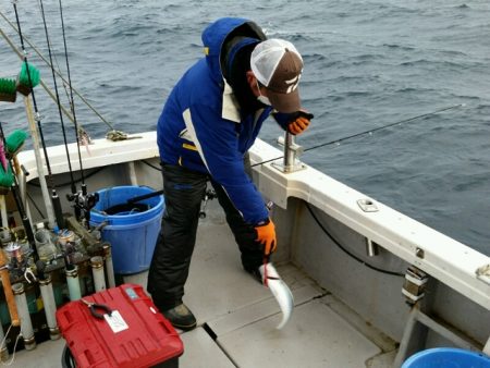 つれ鷹丸 釣果