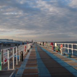 オリジナルメーカー海づり公園(市原市海づり施設) 釣果