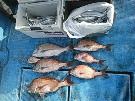 フィッシングガイド りょう 釣果