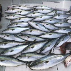 ふじしめ丸 釣果