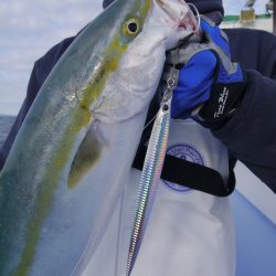 松鶴丸 釣果