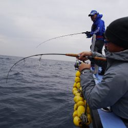 松鶴丸 釣果