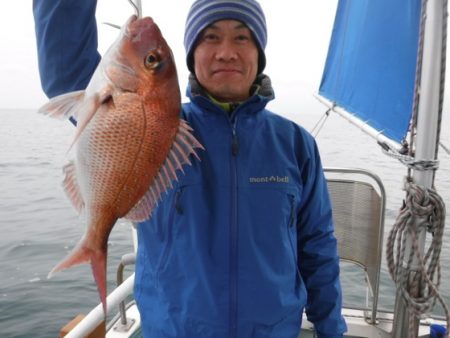 遊漁船 幸友丸 釣果