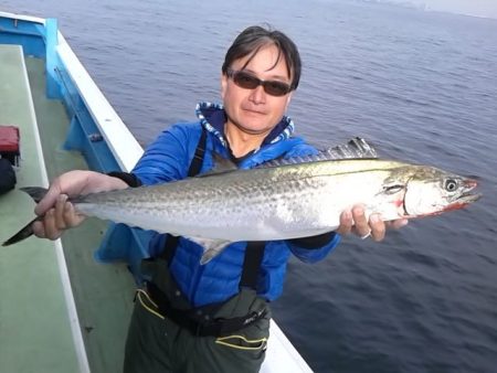 さわ浦丸 釣果