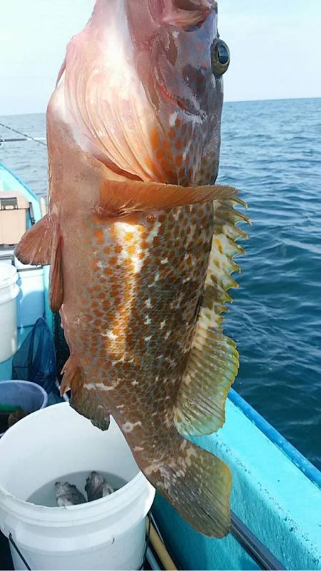 宝昌丸 釣果