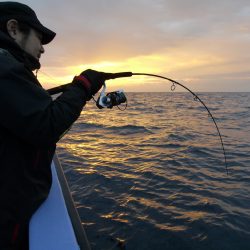 松鶴丸 釣果