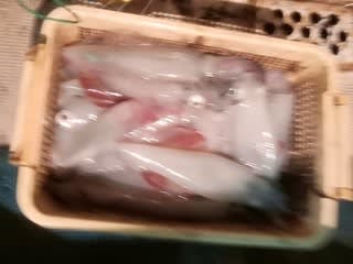 松福丸 釣果