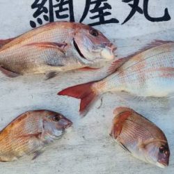 網屋丸 釣果