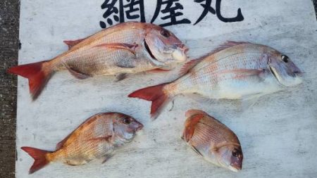 網屋丸 釣果