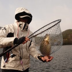 フィッシングレイクたかみや 釣果