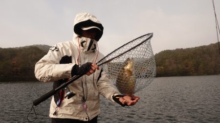 フィッシングレイクたかみや 釣果