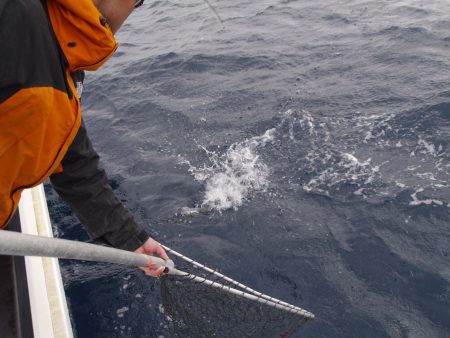 松鶴丸 釣果