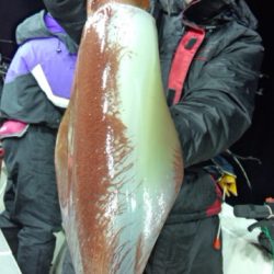 泰丸 釣果