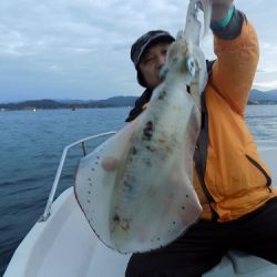 フィッシングボート空風（そらかぜ） 釣果