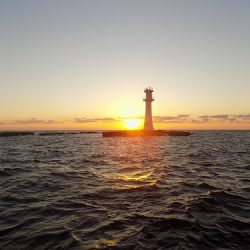 フィッシングボート空風（そらかぜ） 釣果