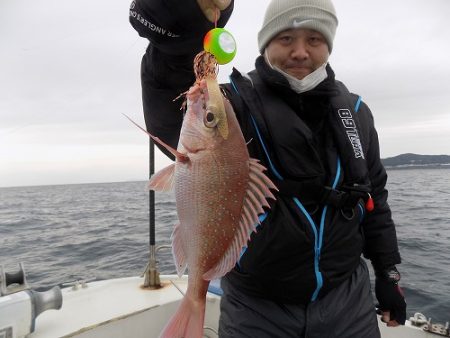 フィッシングボート空風（そらかぜ） 釣果