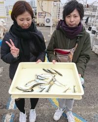 和歌山マリーナシティ釣り公園 釣果