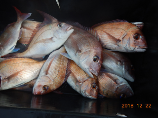 作十丸 釣果