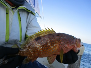 兼六丸 釣果