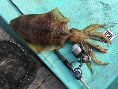 三吉丸 釣果